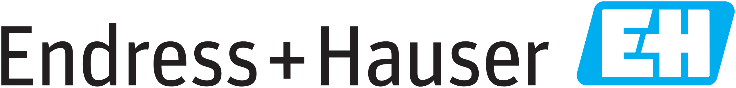 Endress-Hauser